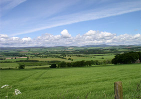 farming and the environment