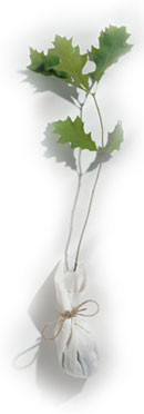 land management services